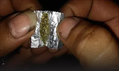 Drogue synthétique : la mort à bon marché