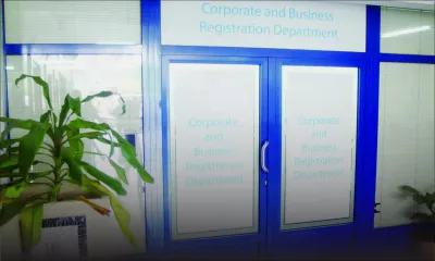 Services financiers : mieux connaître les types de compagnies