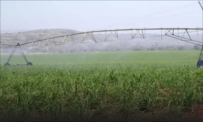 Irrigation Authority : des revenus de Rs 1 M pour le directeur par intérim