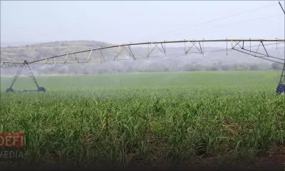 Irrigation Authority : Deepa Kheddoo out !