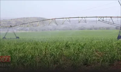 Polémique à l’Irrigation Authority : Rishi Hauzaree démis de son poste, Yajwantee Dulthummon suspendue