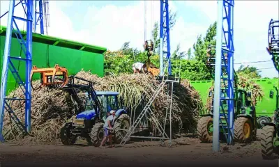 Omnicane reports poor results