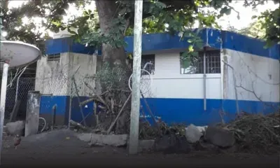 Cap-Malheureux : un badamier incommode les habitants