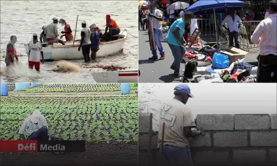 Budget 2020-21 : les propositions de Platform Ti-Travayer Malere