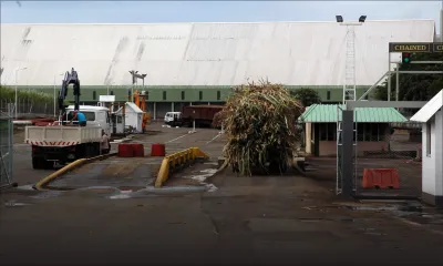 Cannes: la fermeture des ‘balances’ menace la bourse des petits planteurs