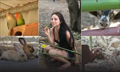 L’Arche de Noé : le surprenant refuge animalier de Gros-Cailloux