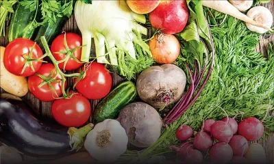 Légumes : la qualité pâtit avec la sécheresse