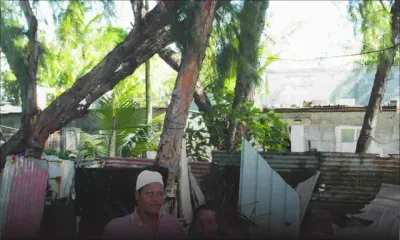 À Poste-Lafayette - De grands arbres menacent leur logis: une famille en danger