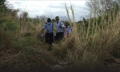 Au bord d’une rivière à Camp-Levieux : un corps démembré découvert par des randonneurs