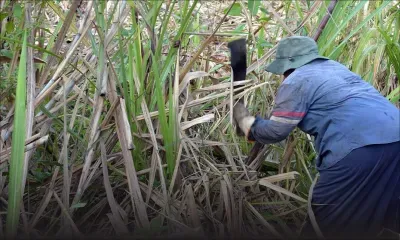 Fact-Finding Committee -SIFB : la fraude présumée de Rs 450 millions pourrait se confirmer