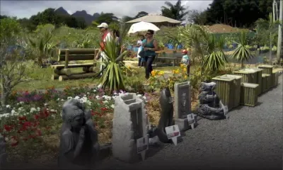 Les plantes en fête ce week-end