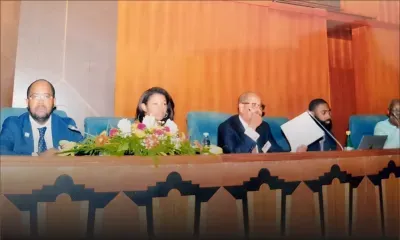 Droits des minorités : réunion pour la décennie internationale des personnes d’ascendance africaine – Région Afrique 2019