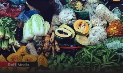 TVA sur les PME réalisant plus de Rs 3 M de chiffres d'affaires : les arcanteurs redoutent une hausse des prix des fruits et légumes