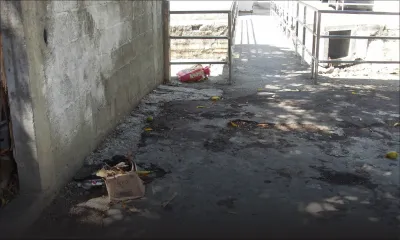 Histoire de poubelles à Vallée-Pitot: les éboueurs pointés du doigt