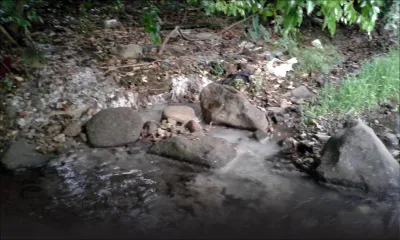 Allégations contre une fabrique: la rivière Mesnil souffre de pollution industrielle