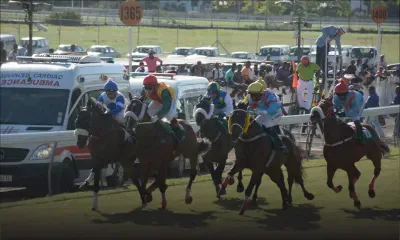 Sportslepep ltd et Globalsports ltd : l’ancien CEO au centre d’allégations de malversations