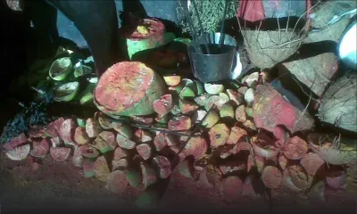 Sur fond de sorcellerie : elle soutire Rs 15,4 millions à trois frères en deux ans