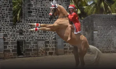 Le fabuleux Noël de Noémie Barragan