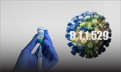 L’OMS demande d’améliorer la surveillance et la communication