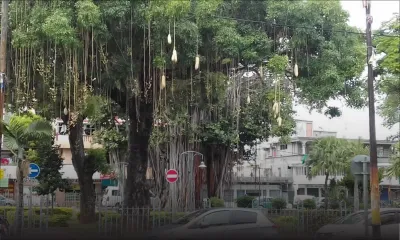 Toilettes publiques à Plaine-Verte : les urinoirs placés à la mauvaise hauteur