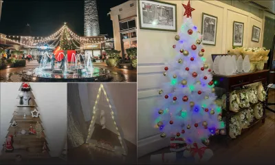 Sapins : des modèles variés et tendance