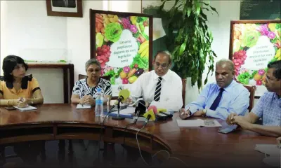 Post-Berguitta : les légumes importés entre Rs 75 et Rs 115 le kilo