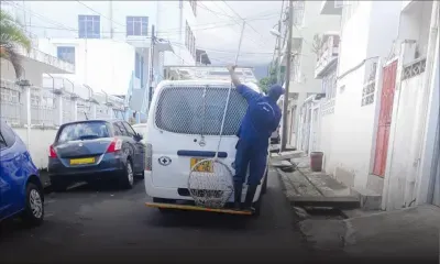 Port-Louis : la MSAW lance une campagne de ramassage de chiens errants 