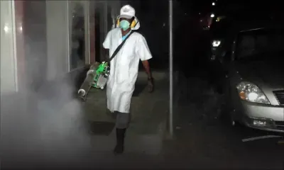 Post-Berguitta : le ministère de la Santé envisage un exercice de démoustication