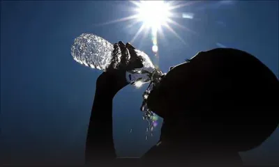 Bulletin climatique mensuel : 2019, l’un des sept janviers les plus chauds depuis 1969