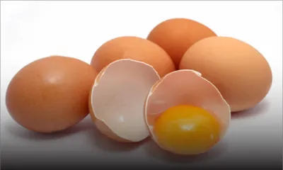 Oeufs : la concurrence mise sur la régionalisation