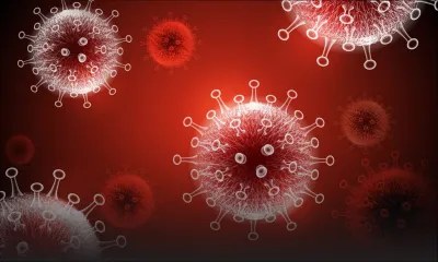 COVID-19 - Évolution de la pandémie : entre espoir et appel à la prudence