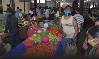 Culture vivrière : des plantations de légumes gravement touchées par les grosses pluies