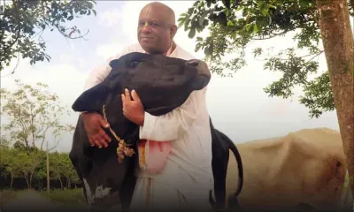 Rajendraparsad Boodhun : «La vache est notre mère et nous devons la protéger»