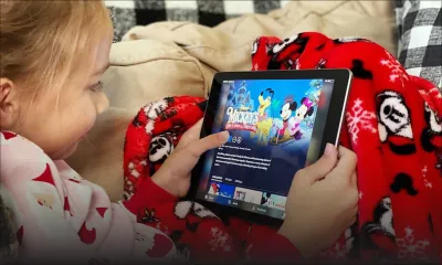 Blog - Following butterflies