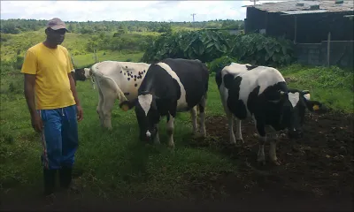 Marché local - Lait: une production de 4 M de litres attendue en 2016