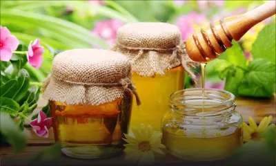 Acheter ‘malin’ - Le prix du miel: Hausse de 8 à 30 % en un an