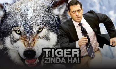 Tiger Zinda Hai : Salman Khan se bat contre des loups