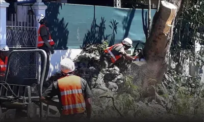 Projet Metro Express : abattage sous surveillance à Roland Amand