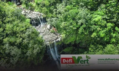 Le Défi Vert : recyclage, découverte et projets verts au rendez-vous 