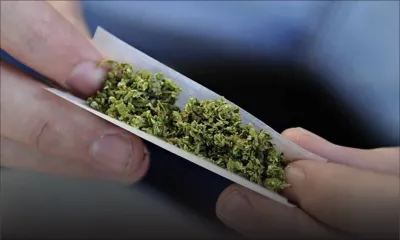 Rose-Hill : un musicien arrêté pour possession de 200 g de cannabis 