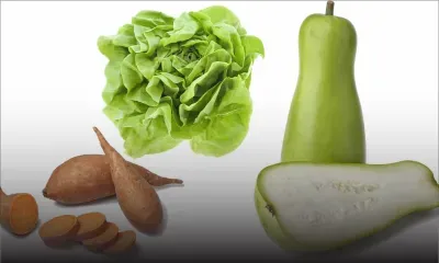 Patates douces, calebasses et laitues disparaissent des champs