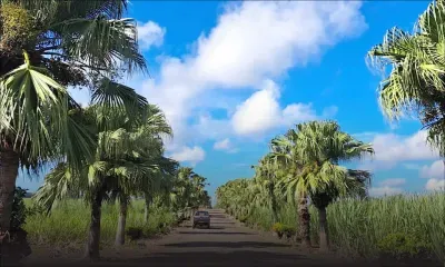 À Sans-Souci : voyage dans le temps