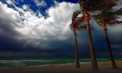 Météo: des vents forts et froids attendus cette semaine