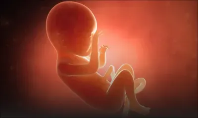 Cadre légal - Lindsey Collen : «Il faut décriminaliser l’avortement»