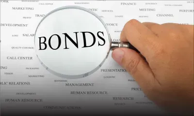 Non-Public Sector Bodies to invest surplus funds : could Treasury Certificates contribute to improve cash management?