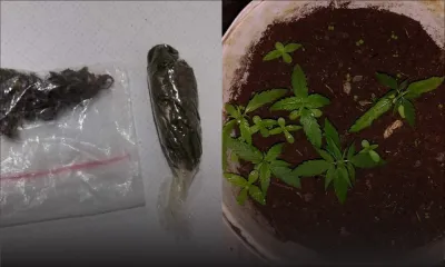 Une coiffeuse après son arrestation : «Mo plante pie gandia pour mo vande»