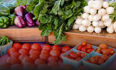 Post-confinement : prix des légumes à la baisse, selon la Small Planters Association