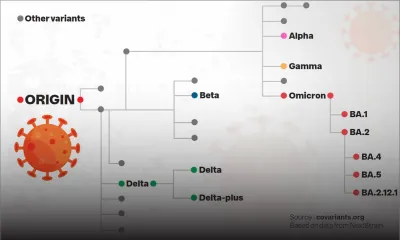COVID-19 - Forte présence de nouveaux sous-variants : la plus grande vigilance prévue