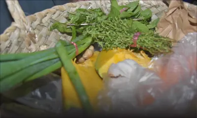 Mercuriale : les prix des légumes restent abordables 