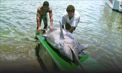 Mauritius hosts Fisheries Agreement meeting